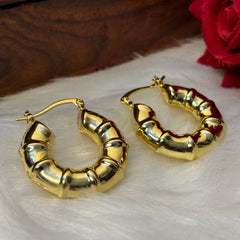 Golden Swirl Hoop Earrings