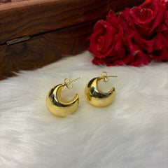 Dainty Gold Earrings